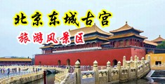 人人看黄片中国北京-东城古宫旅游风景区